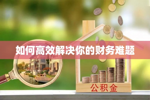 双桥如何高效解决你的财务难题