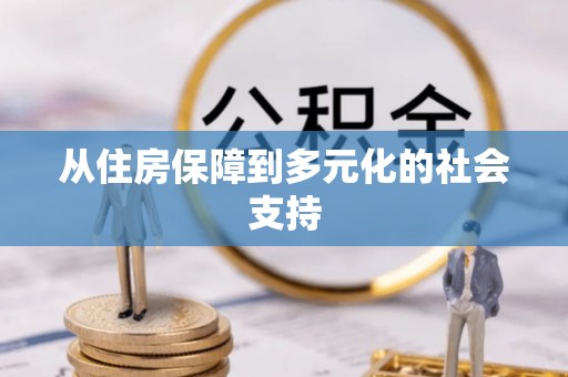 双桥从住房保障到多元化的社会支持