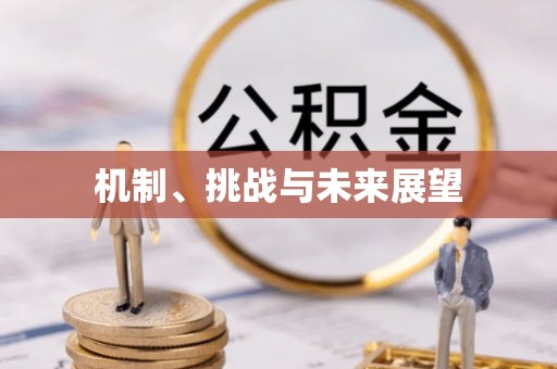 双桥机制、挑战与未来展望